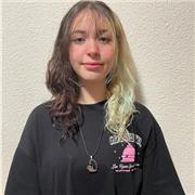 Clases particulares online